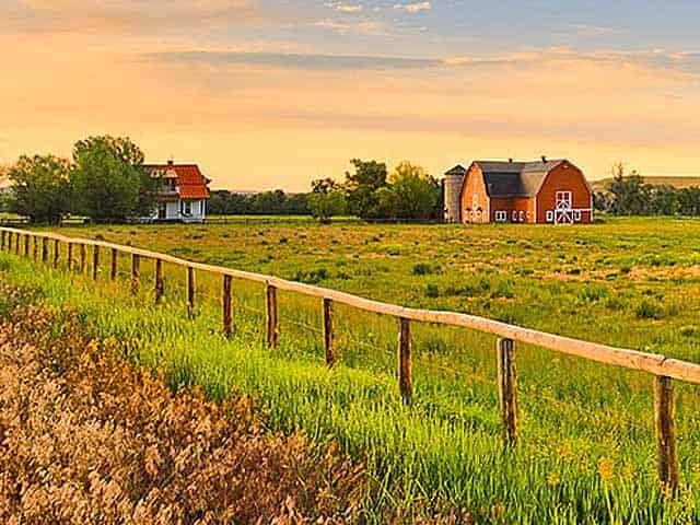 Farmhouse in grass field