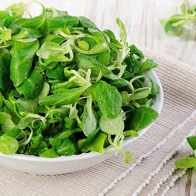 Bowl full of spring lettuce