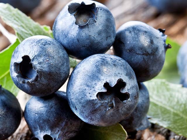 Blueberries