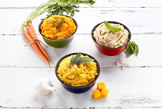 Carrot parsnip mash, white bean basil pesto mash and butternut squash and sage