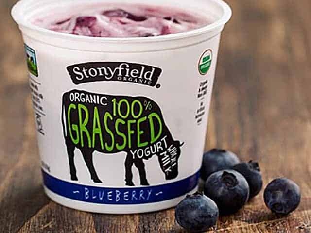 Stonyfield Organic blueberry yogurt