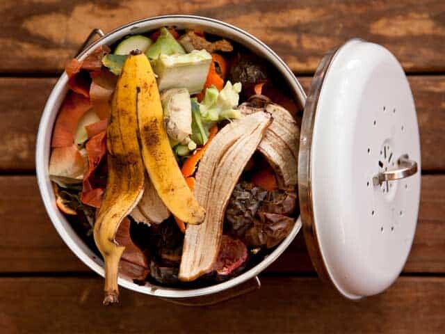 Composting 101