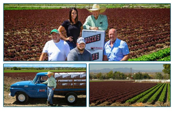 Pettroco family portrait, farmer with truck, and crop field.