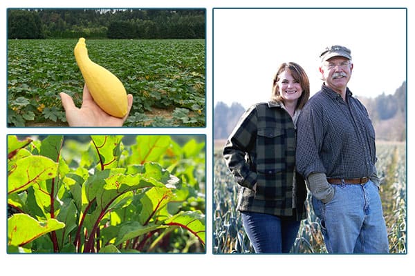 Mosby Farms farmers, a hand holding squash, and a growing plant.