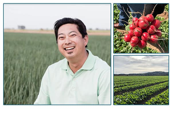 Farm owner in field, bunch of red beets, and a crop field.