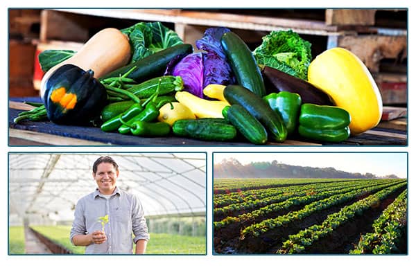 Pile of squash and other vegetables, and image of farmer and field.