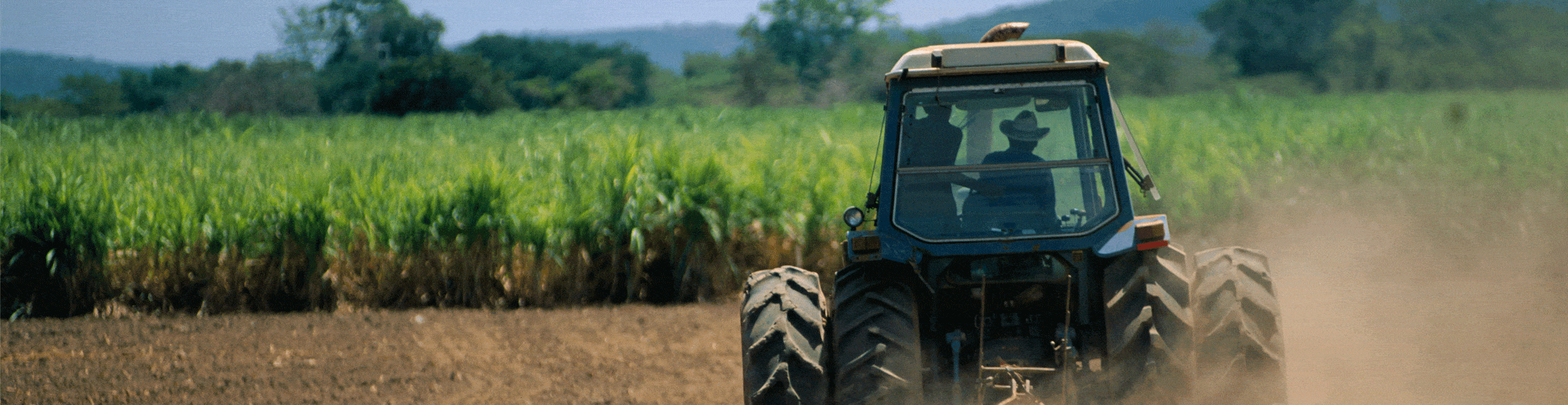 Tractor driving in a field