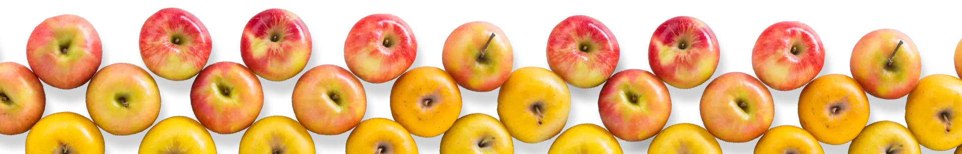 Apples