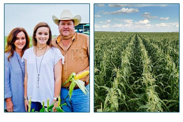 J&B Farms family standing in a corn field, and image of the corn field horizon.