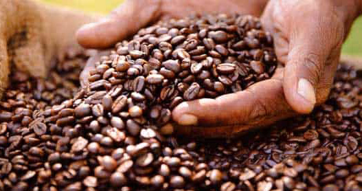 coffee beans