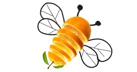 orange bee