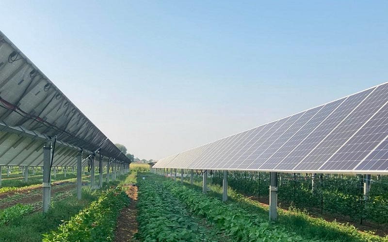 field with solar panels