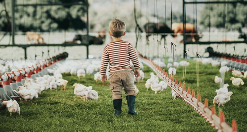 Child walking through Pasturebird chicken coop