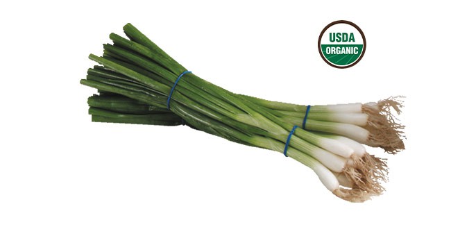 Haas Avocados next to USDA Organic icon