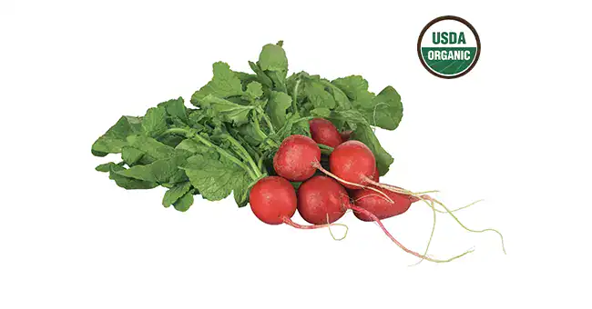 Red Radishes with USDA Organic icon