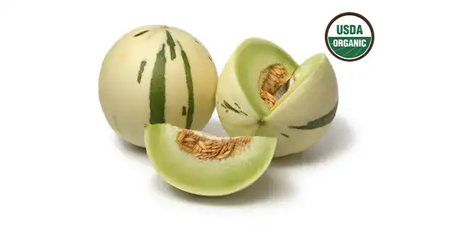 honeysaurus melon next to USDA organic icon