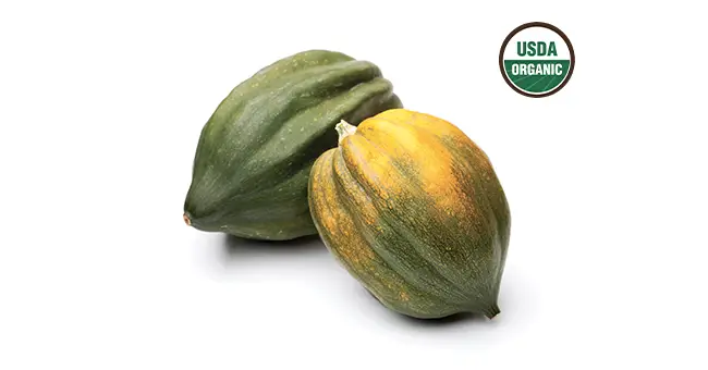 Acorn Squash