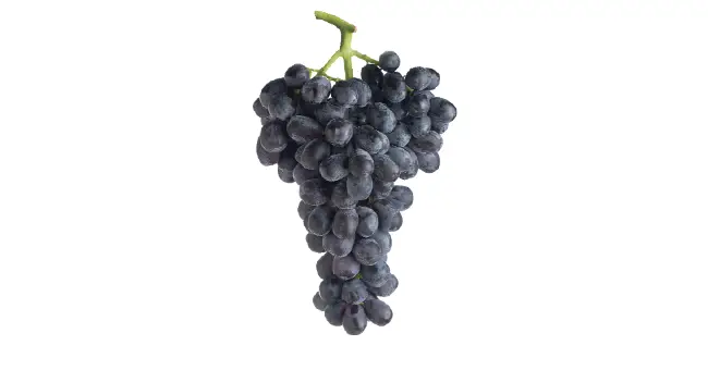 Black Grapes