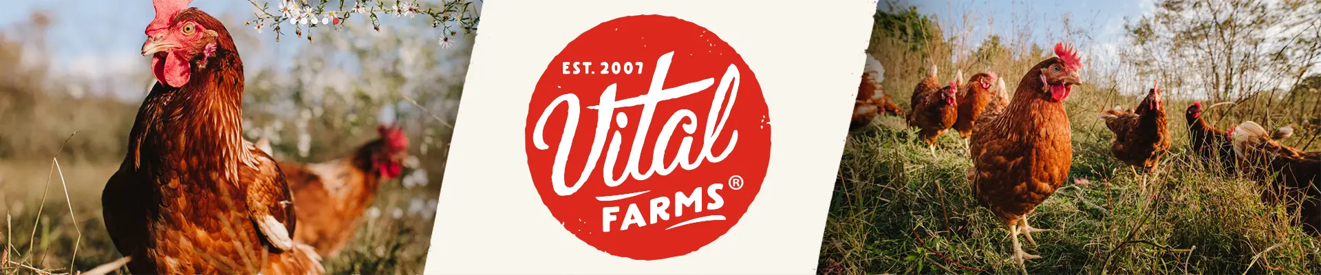 Vital Farms logo next to images of chickens in a pasture.