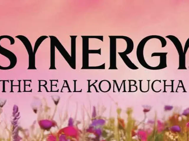 Synergy the real kombucha logo