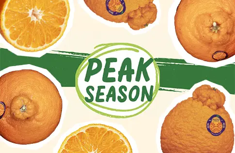 Peak season produce logo surrounded by sumo citrus