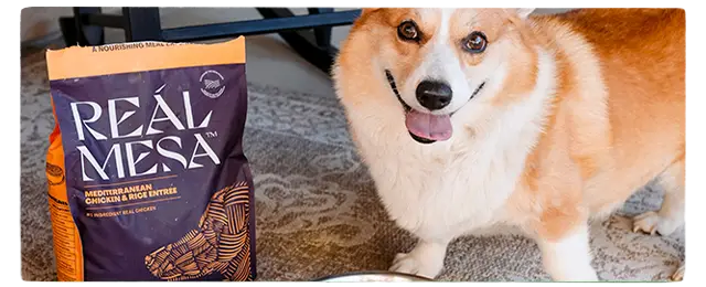 Dog next to bag of Real Mesa chicken and rice food.