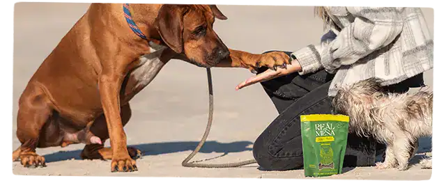 Real Mesa jerky