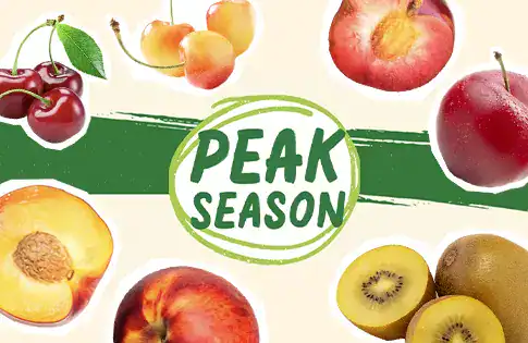 Peak Season Produce logo surrounded by produce.