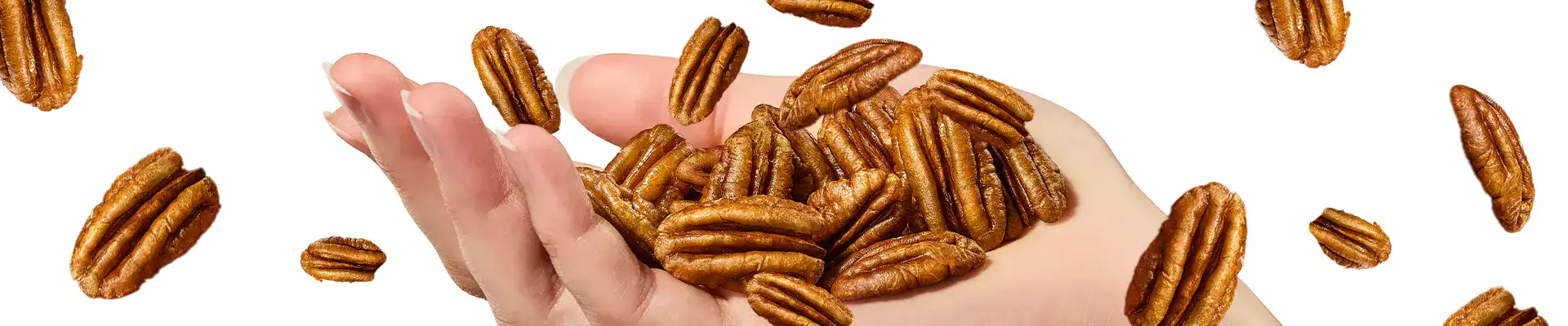 Pecans falling into a hand