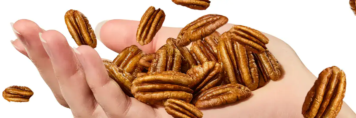 Pecans falling into a hand
