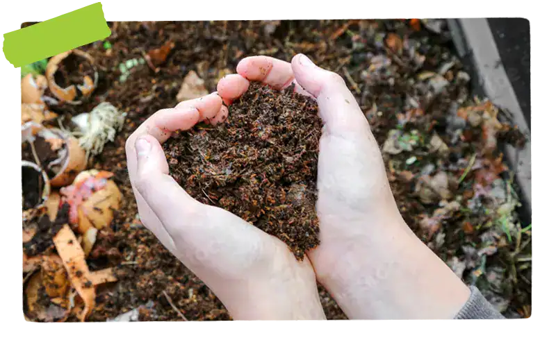 hands holding soil